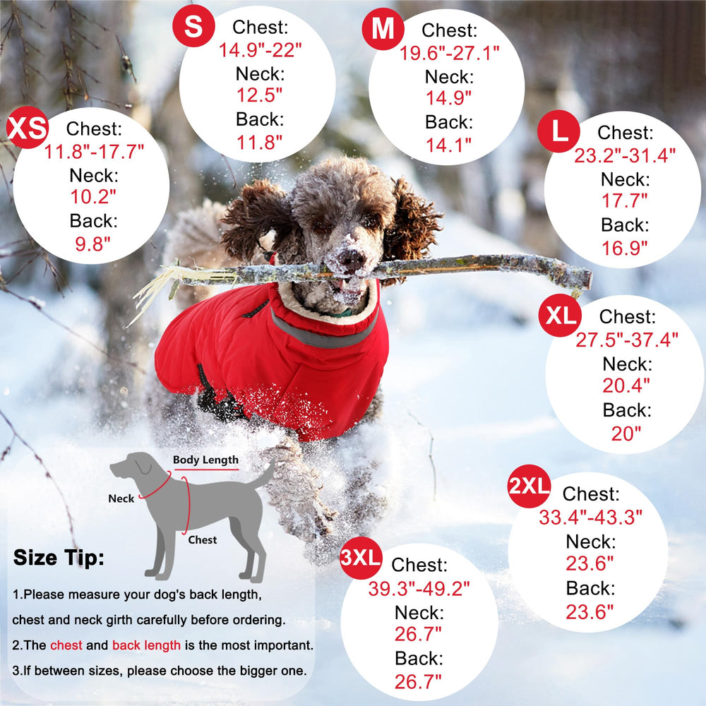 Dogcheer warm fleece lining keeps your dog cozy on cold day adventures