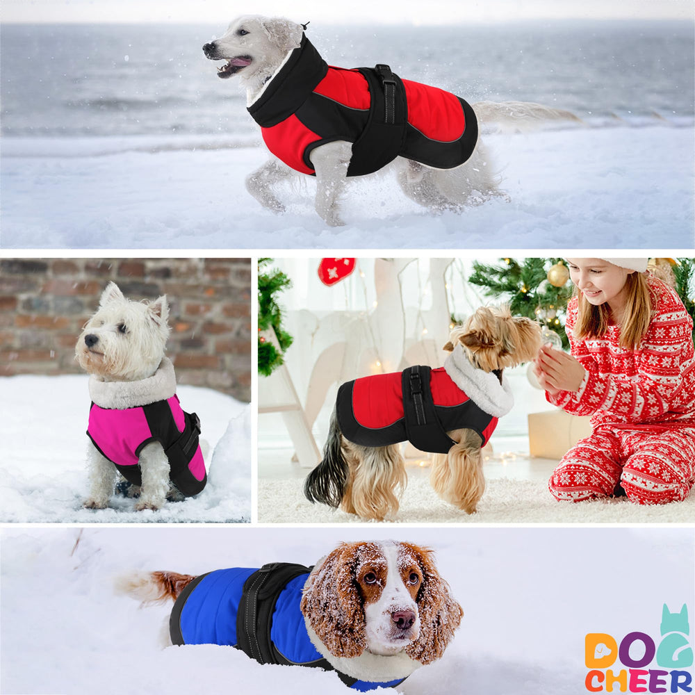 Dogcheer waterproof dog coat blue all-breed fit—suitable for small to large dogs.