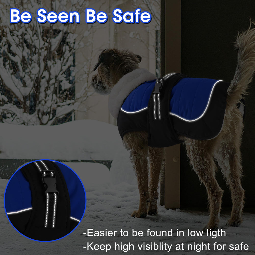 Dogcheer waterproof dog coat blue back leash hole—easy harness compatibility.