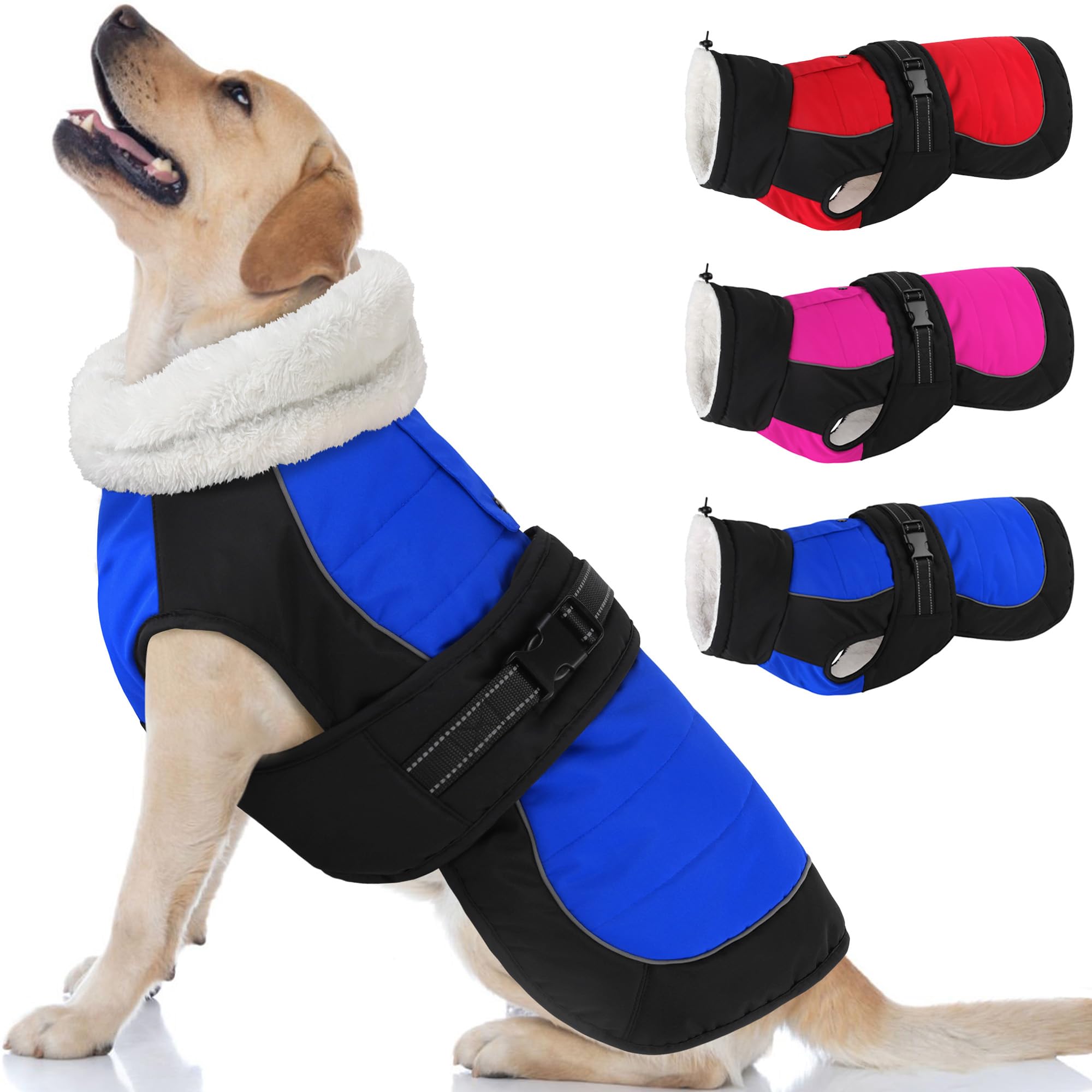Dogcheer waterproof dog coat blue front view—weatherproof protection for rainy walks.