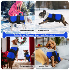 Dogcheer waterproof dog coat blue neck detail—thickened collar blocks chilly gusts.