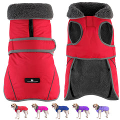 Dogcheer waterproof dog coat on a dog for rain protection during walks