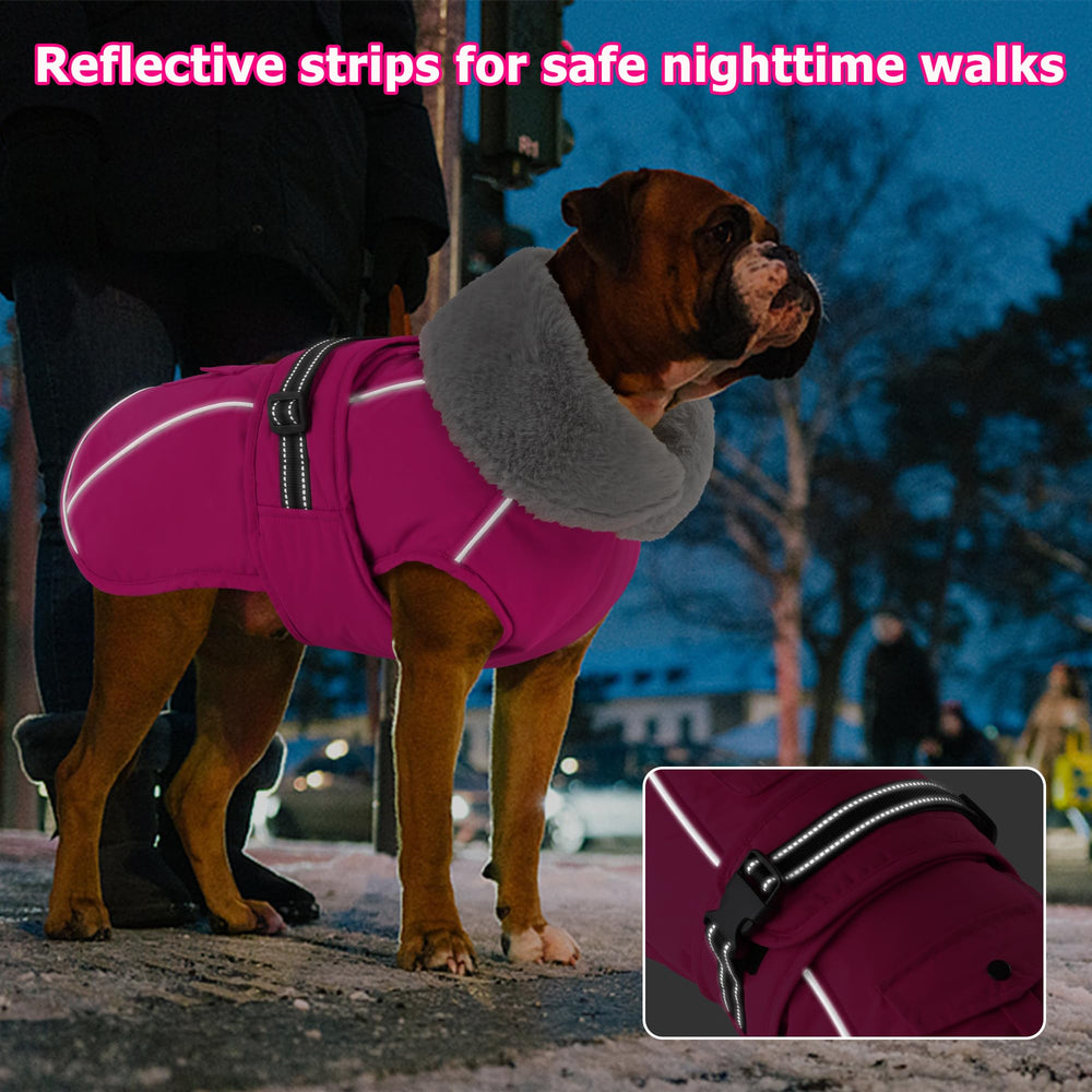 Dogcheer waterproof leash hole jacket enables safe leash attachment in rain.