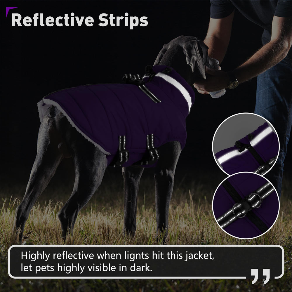 Dogcheer windproof turtleneck coat on dog shows snug warmth in chilly conditions.