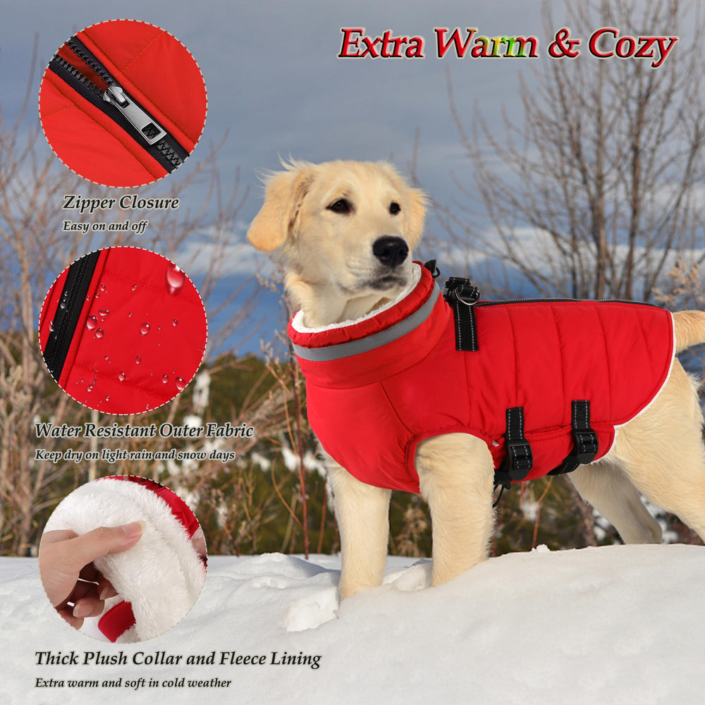 Dogcheer windproof turtleneck coat provides cozy warmth for chilly walks.