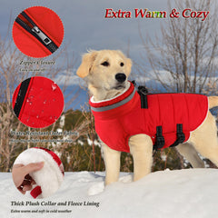 Dogcheer windproof turtleneck coat provides cozy warmth for chilly walks.