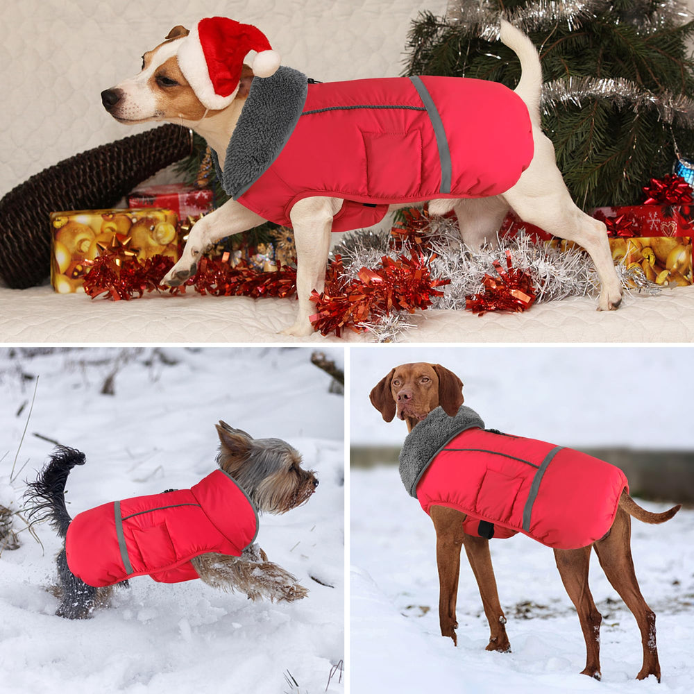 Dogcheer warm dog coat leash-attachment back zipper keeps harness safe.
