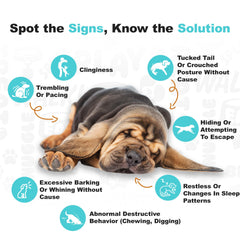Doggie Dailies calming chews melatonin chamomile ingredients help support relaxed mood