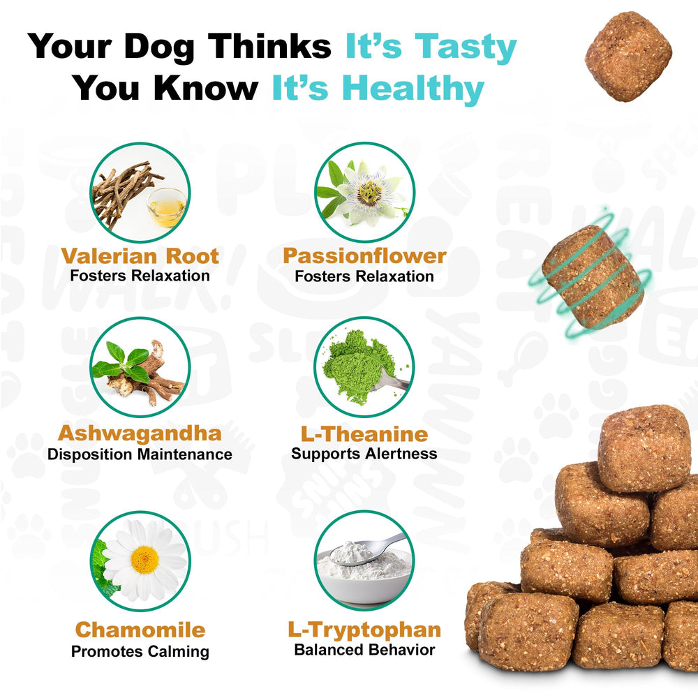 Doggie Dailies calming chews during travel scene showing calmer cues