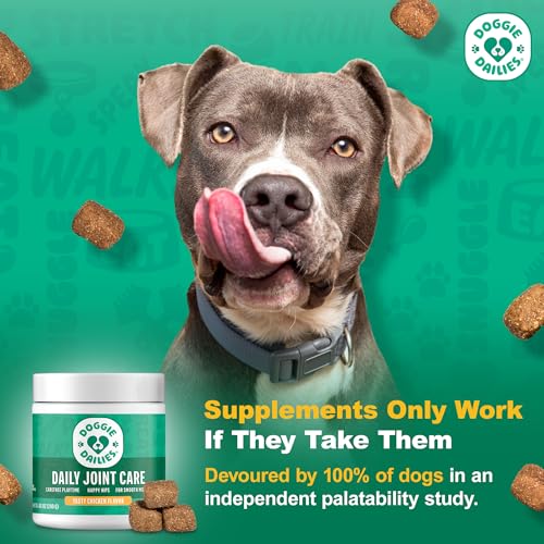 Doggie Dailies chicken-flavor chews close-up—palatable joint care for dogs.