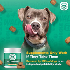 Doggie Dailies chicken-flavor chews close-up—palatable joint care for dogs.