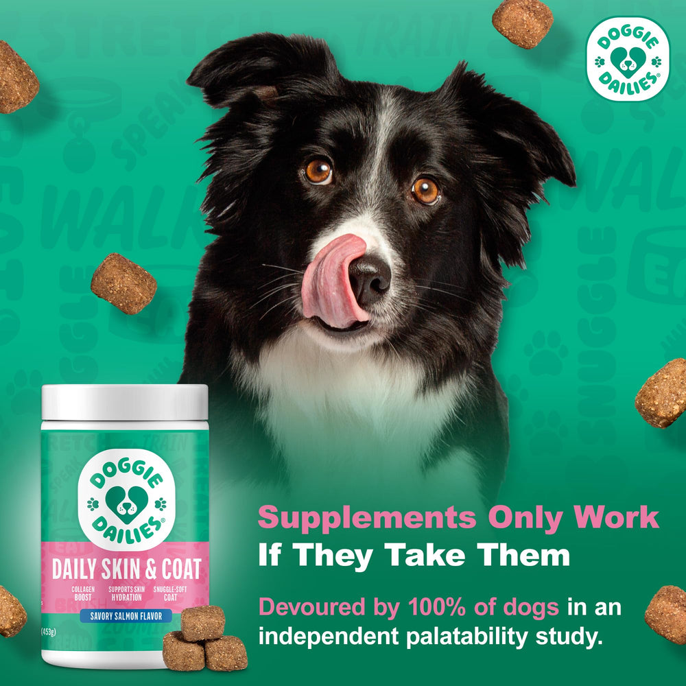Doggie Dailies collagen sources mix highlighting skin and joint benefits.