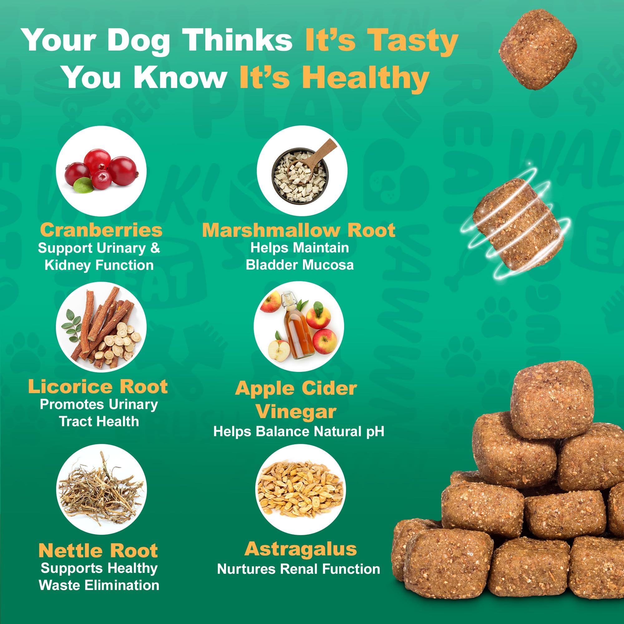 Doggie Dailies Cranberry supplement Apple Cider Vinegar panel supports urinary balance.