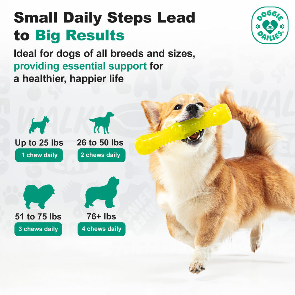 Doggie Dailies Cranberry supplement D-Mannose line signals urinary tract compatibility.