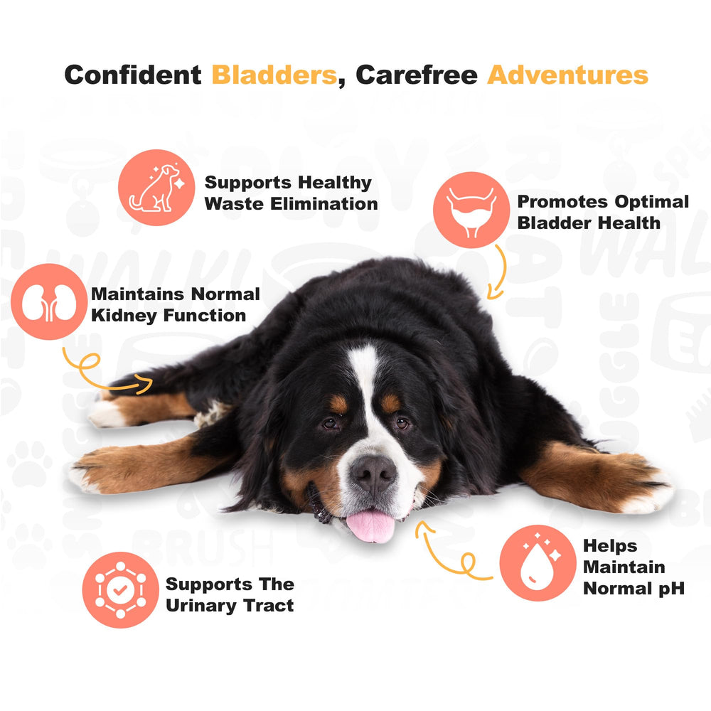 Doggie Dailies Cranberry supplement urinary-health visuals support the urinary tract.