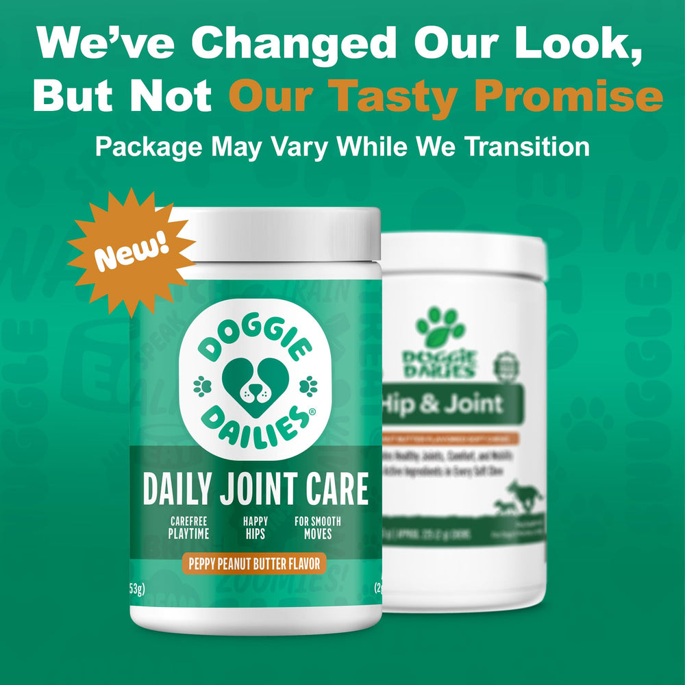 Doggie Dailies daily-use routine concept with morning chew.