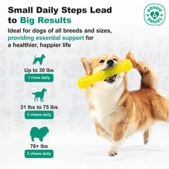 Doggie Dailies duck hip joint chews in use for easy daily treats.