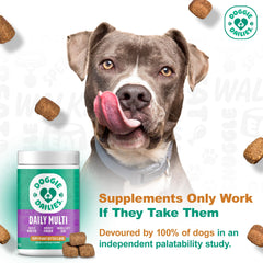 Doggie Dailies joint health glucosamine chews in focus for mobility support