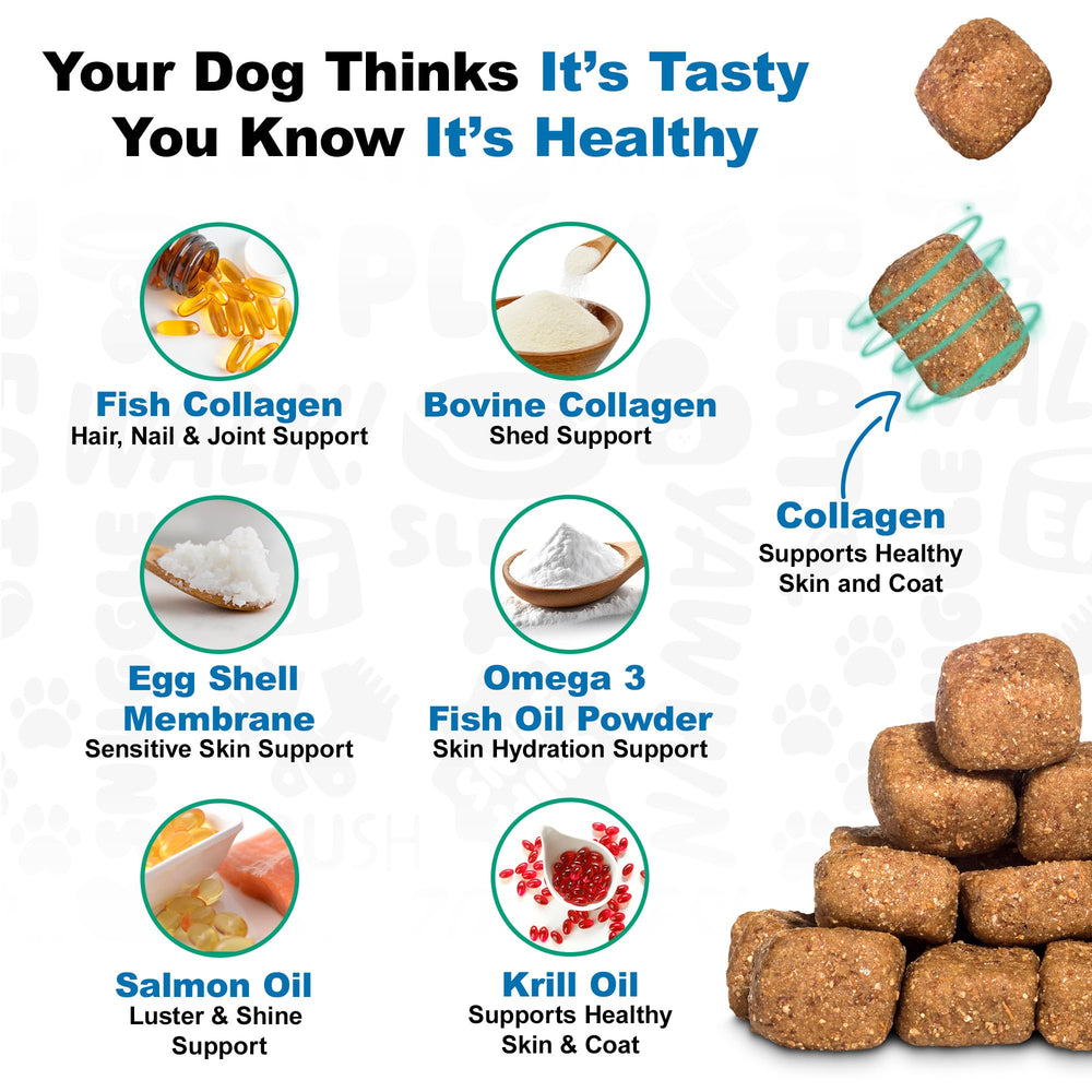 Doggie Dailies joint support chew image for mobility.