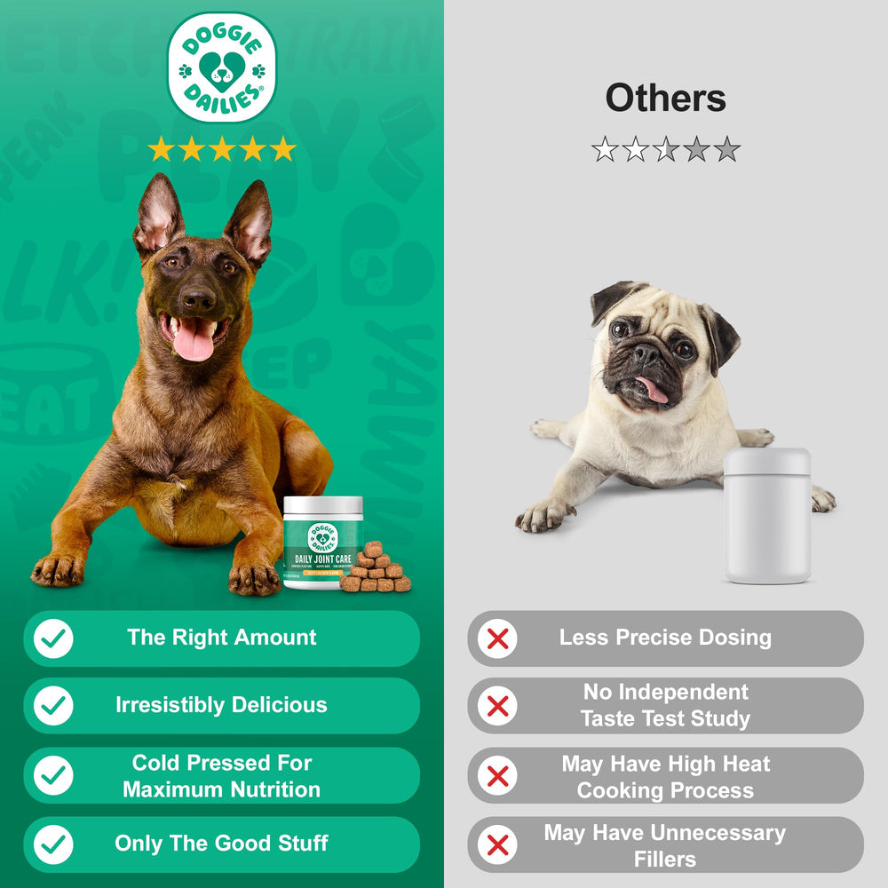 Doggie Dailies MSM turmeric omegas—anti-inflammatory-inspired nutrients.