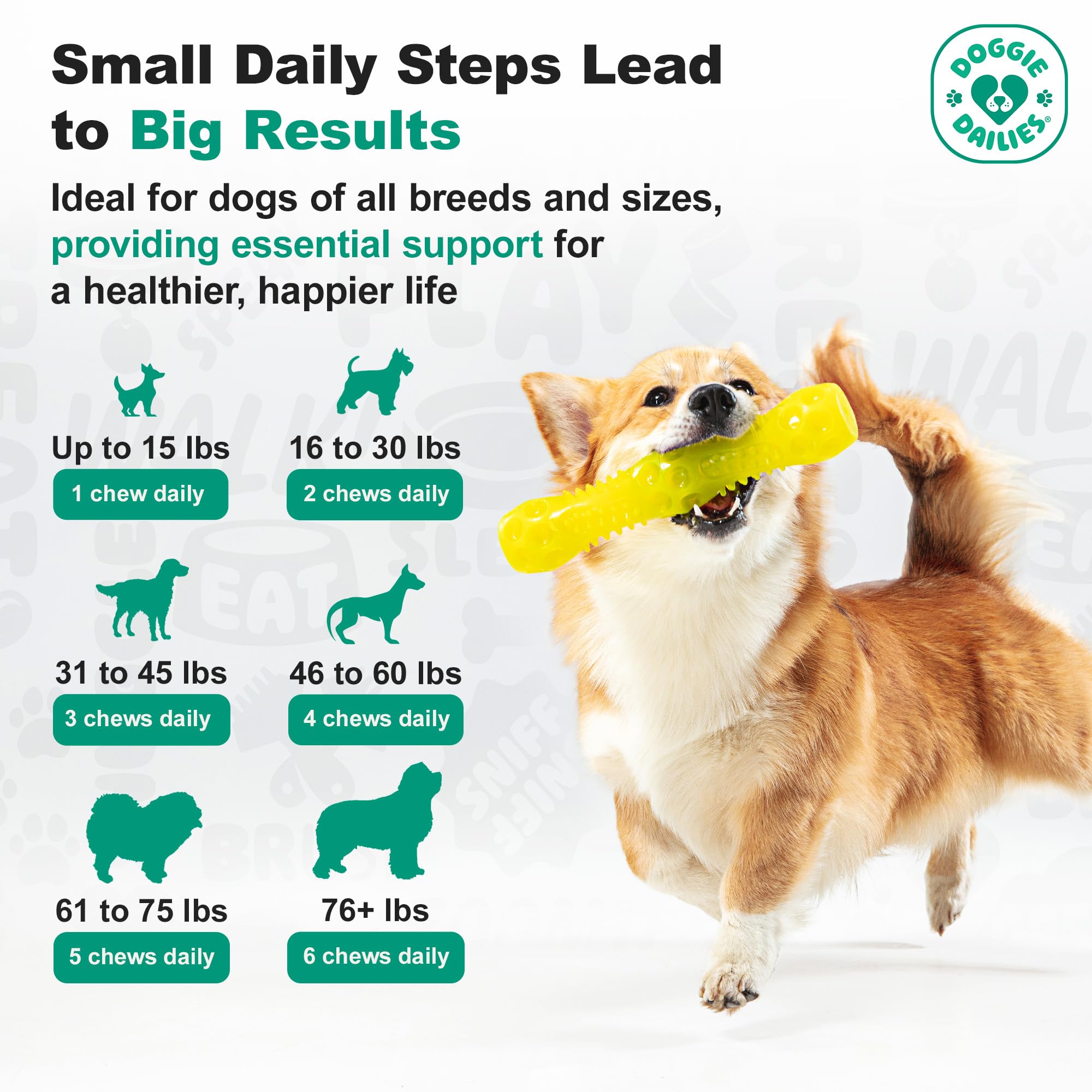 Doggie Dailies palatability tests—dogs happily accept the supplement.