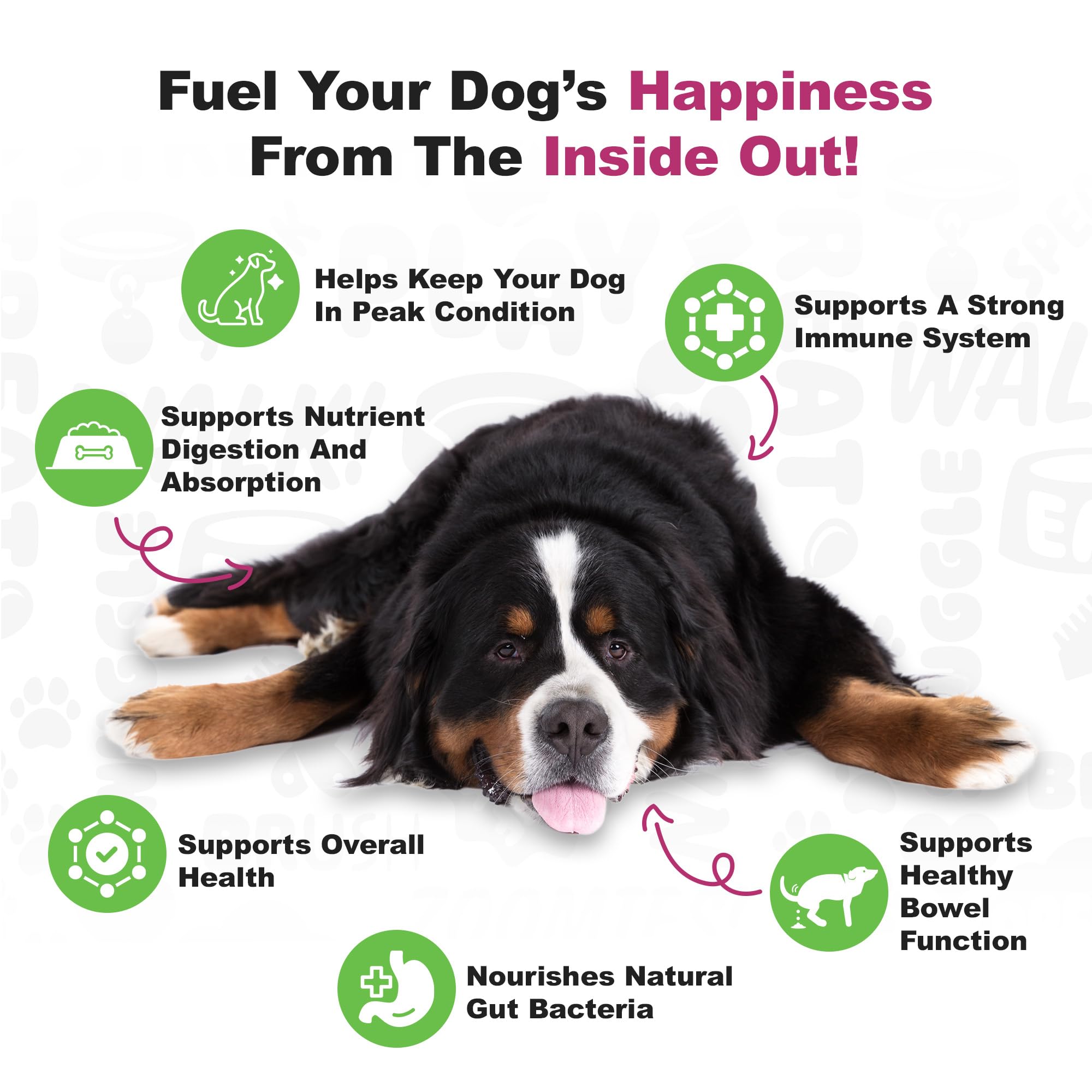 Doggie Dailies Probiotics duck soft chews spoon-dispense setup for easy serving.