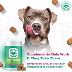 Doggie Dailies Probiotics duck soft chews tub label close-up highlights grain-free duck flavor.
