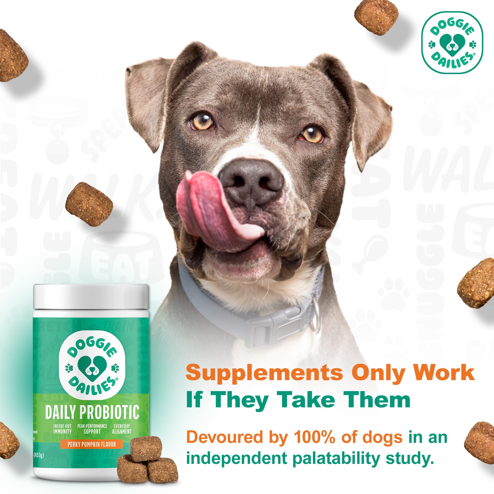 Doggie Dailies probiotics pumpkin chews label shows ingredients for gut wellness