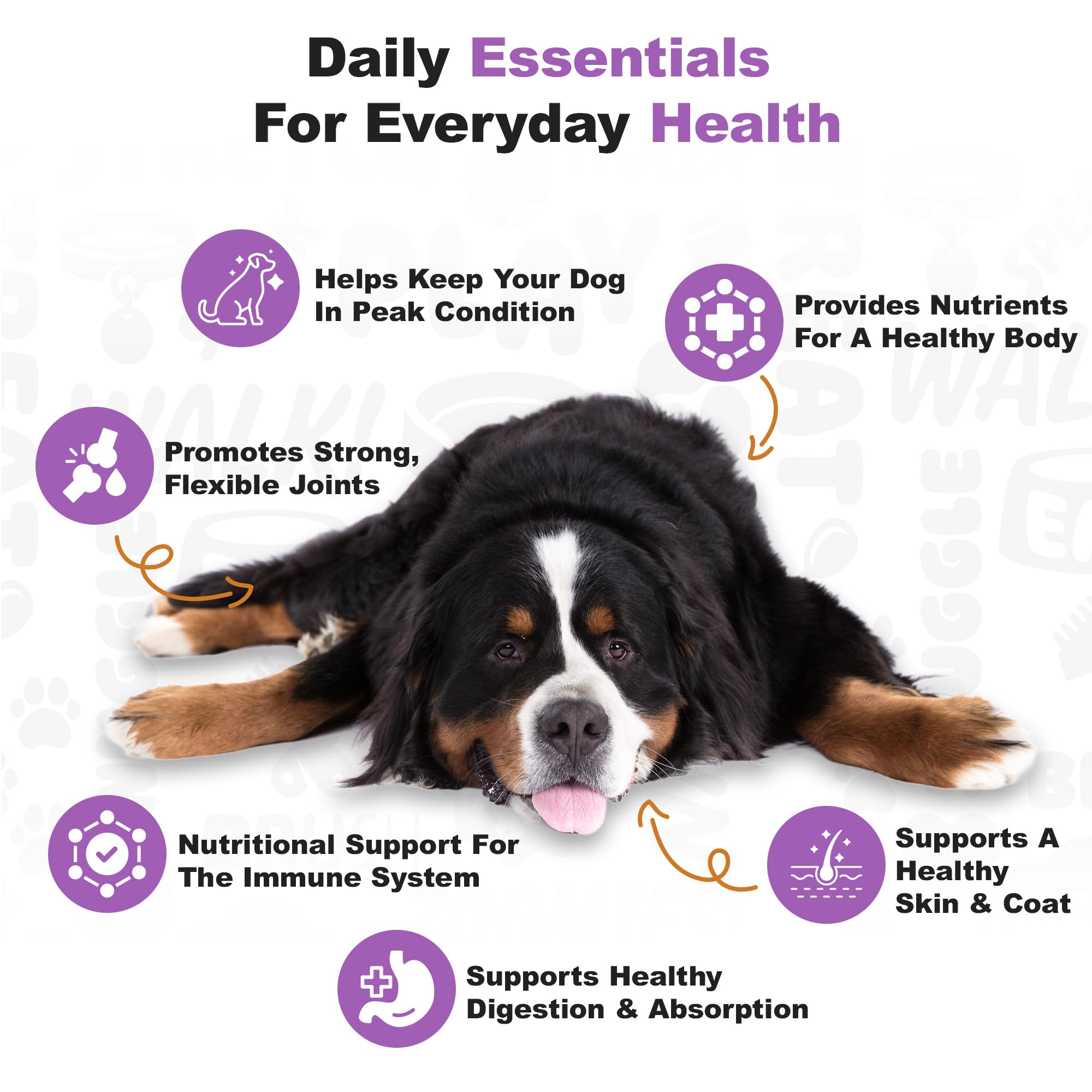 Doggie Dailies skin and coat omega fatty acids chews emphasizing shine