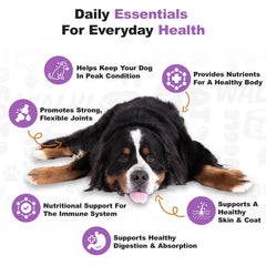 Doggie Dailies skin and coat omega fatty acids chews emphasizing shine
