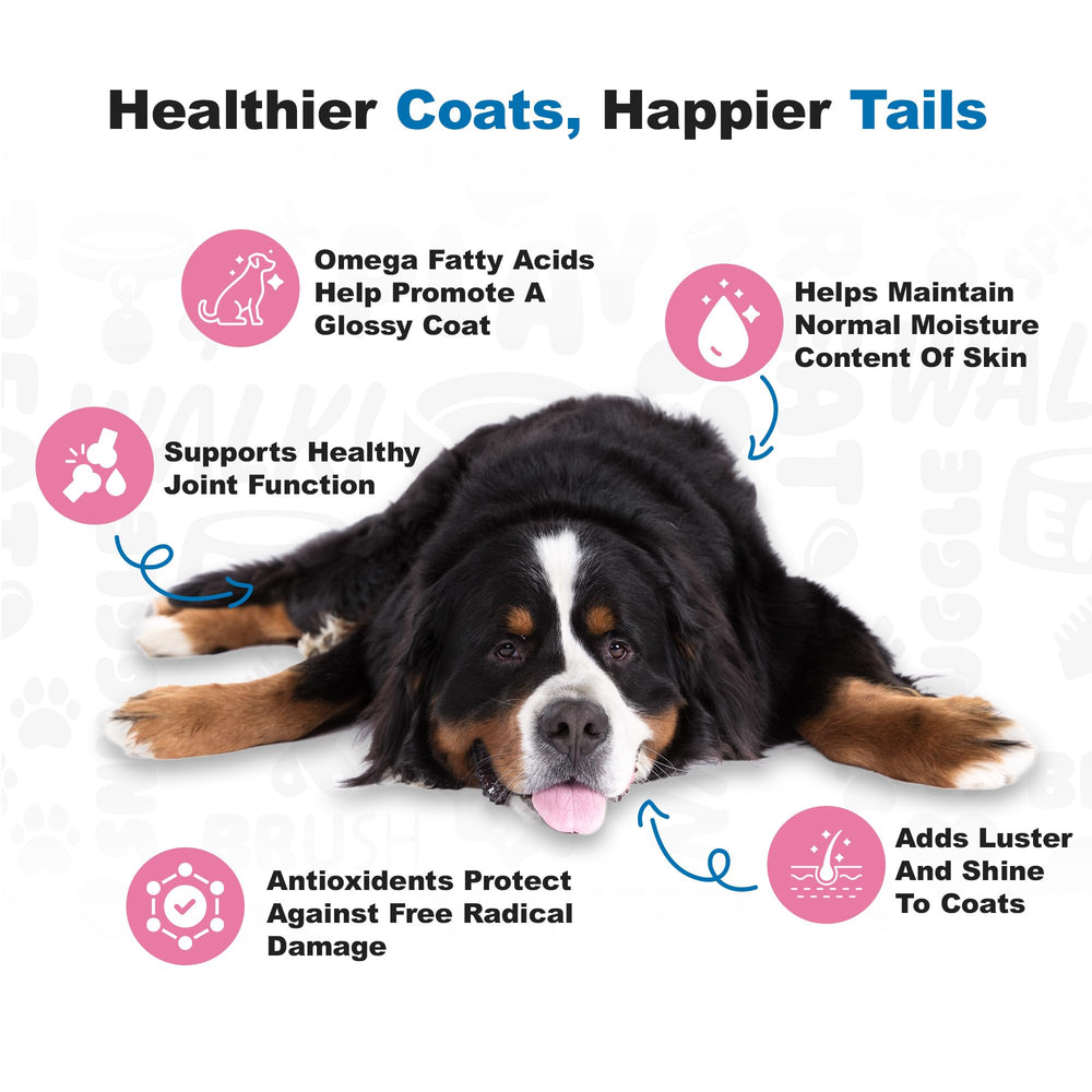 Doggie Dailies wild salmon oil visual emphasizing omega 3 nourishment.