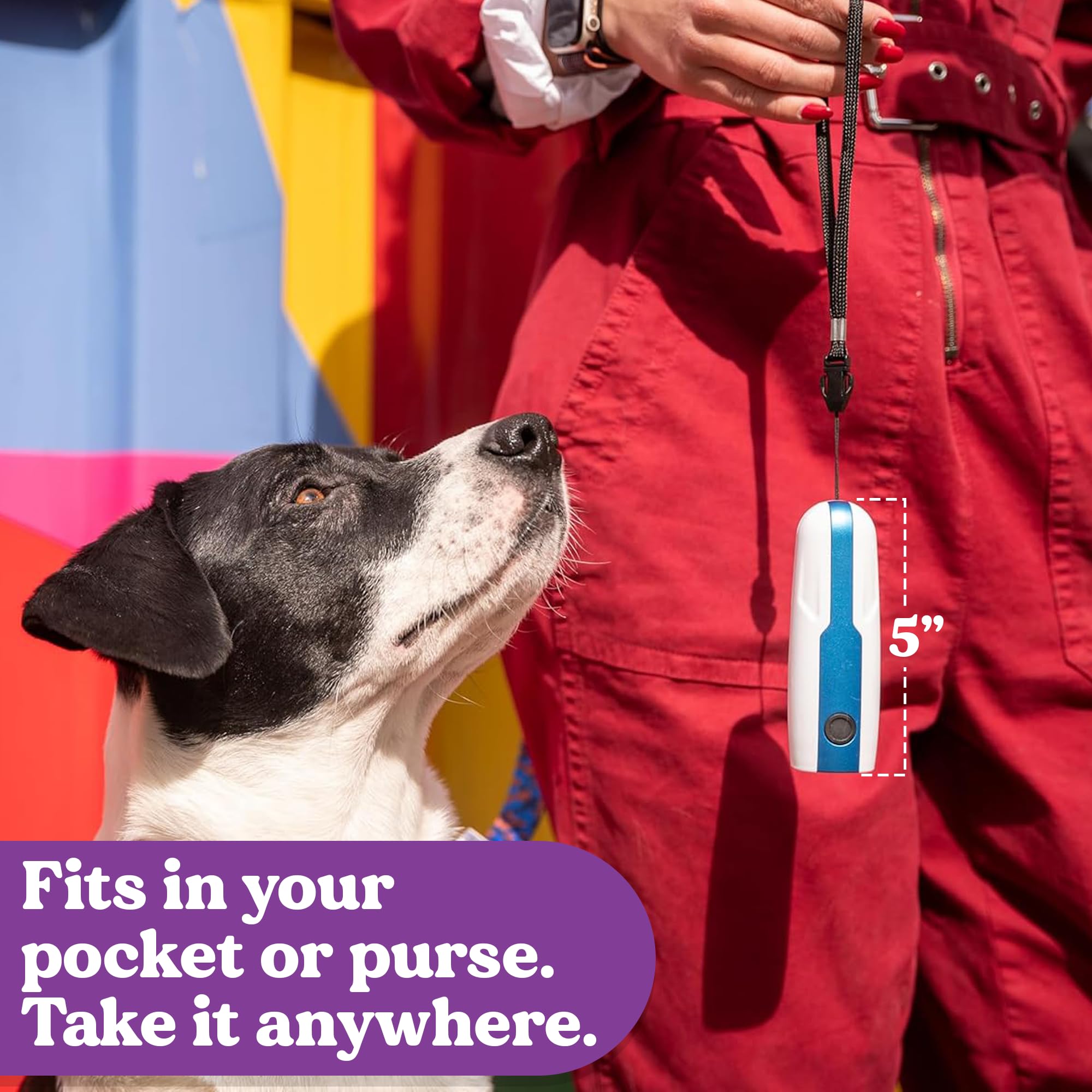 Doggie Don’t no-shock training device used safely during behavior interruption