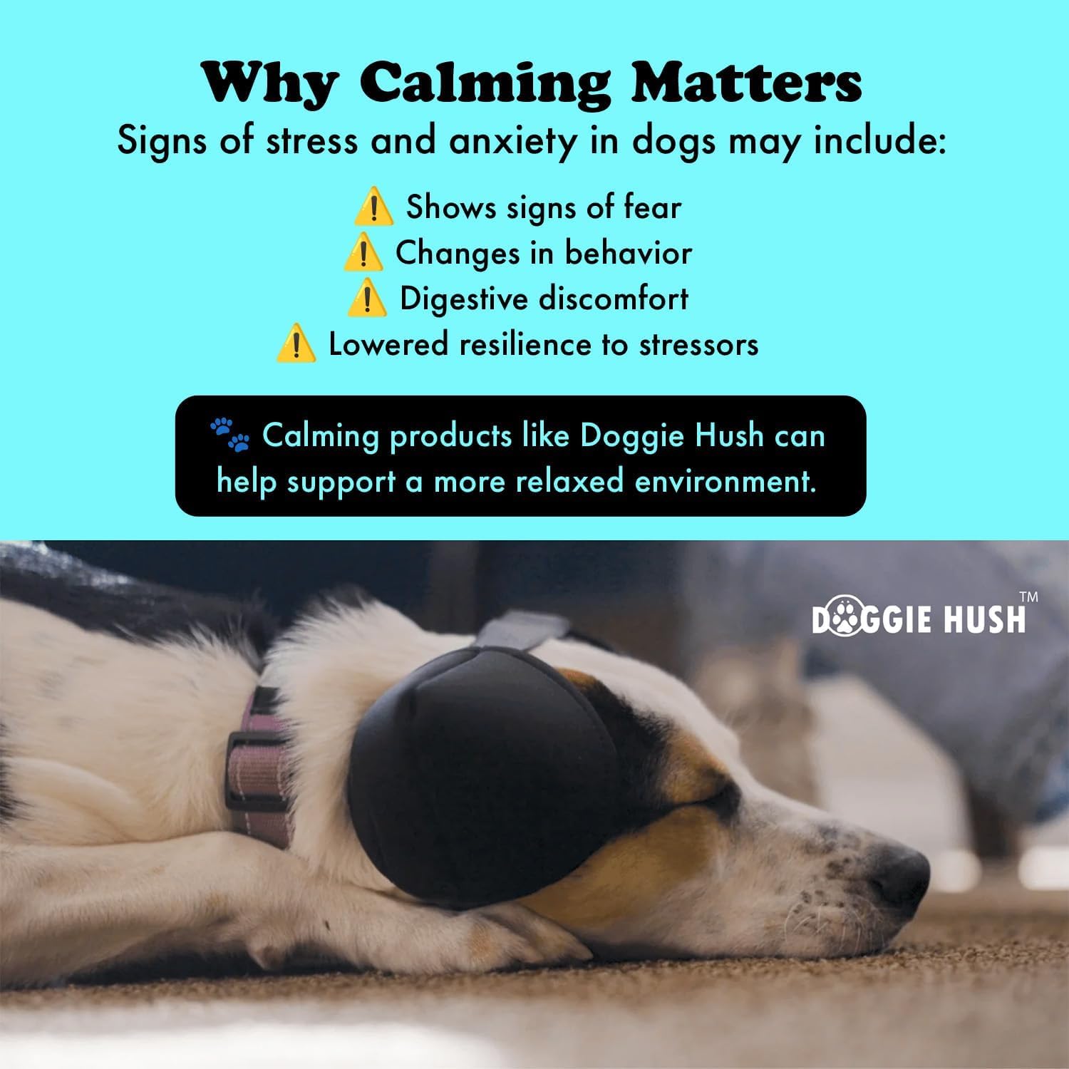 Doggie Hush Pro five-layer noise damping for calmer pups in noisy environments.