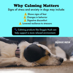 Doggie Hush Pro five-layer noise damping for calmer pups in noisy environments.