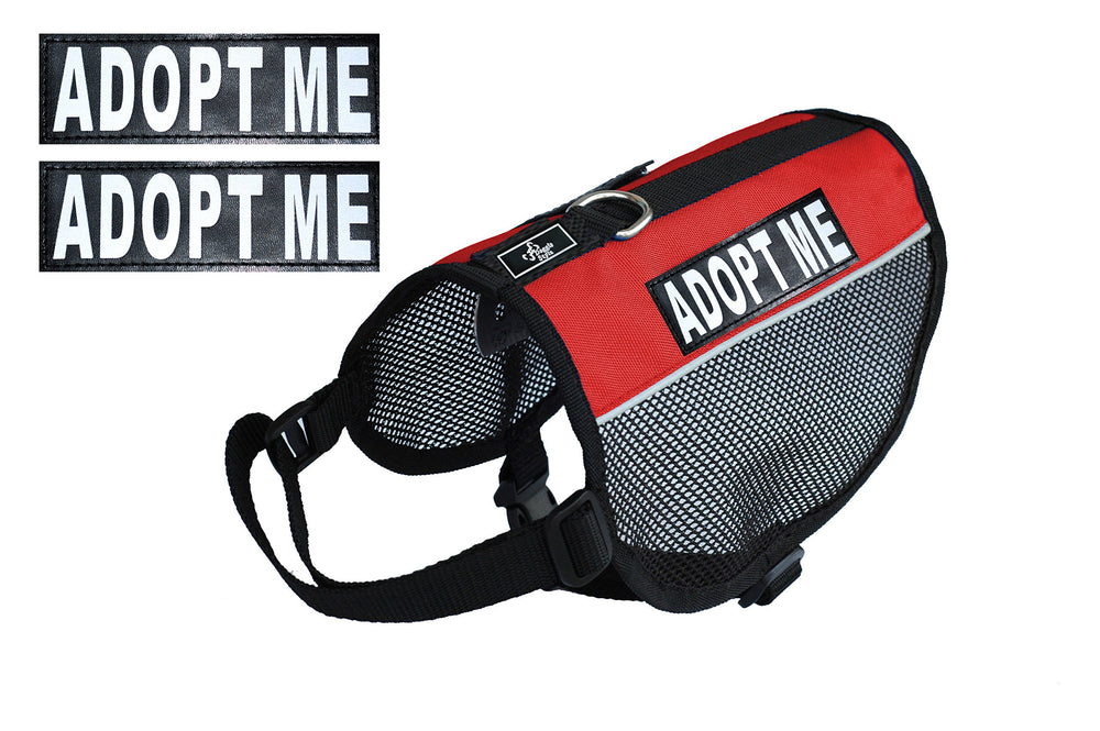 Doggie Stylz Adopt ME harness with heavy-duty D-ring for durability.