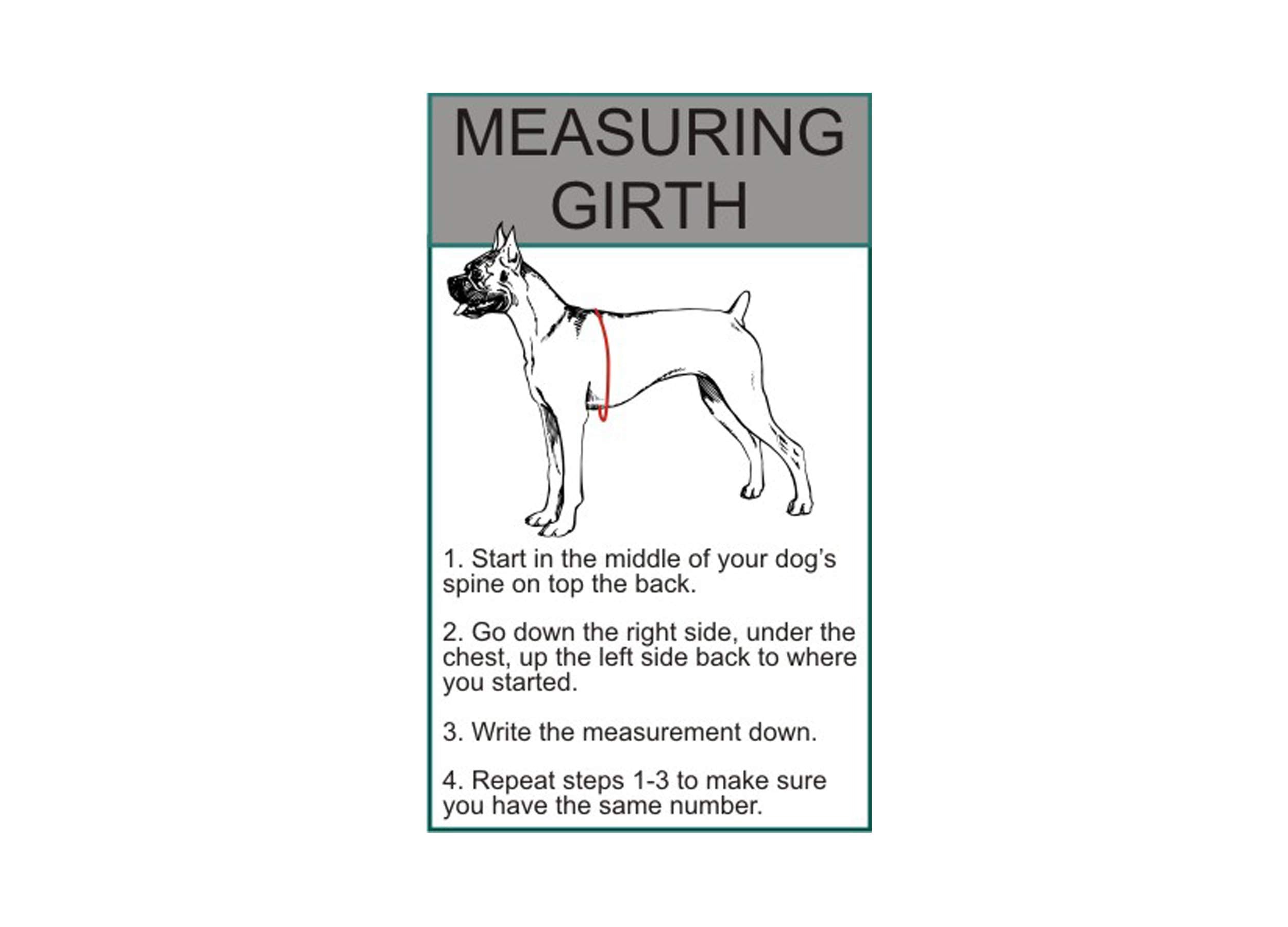 Doggie Stylz harness features reflective patches on each side for night visibility.