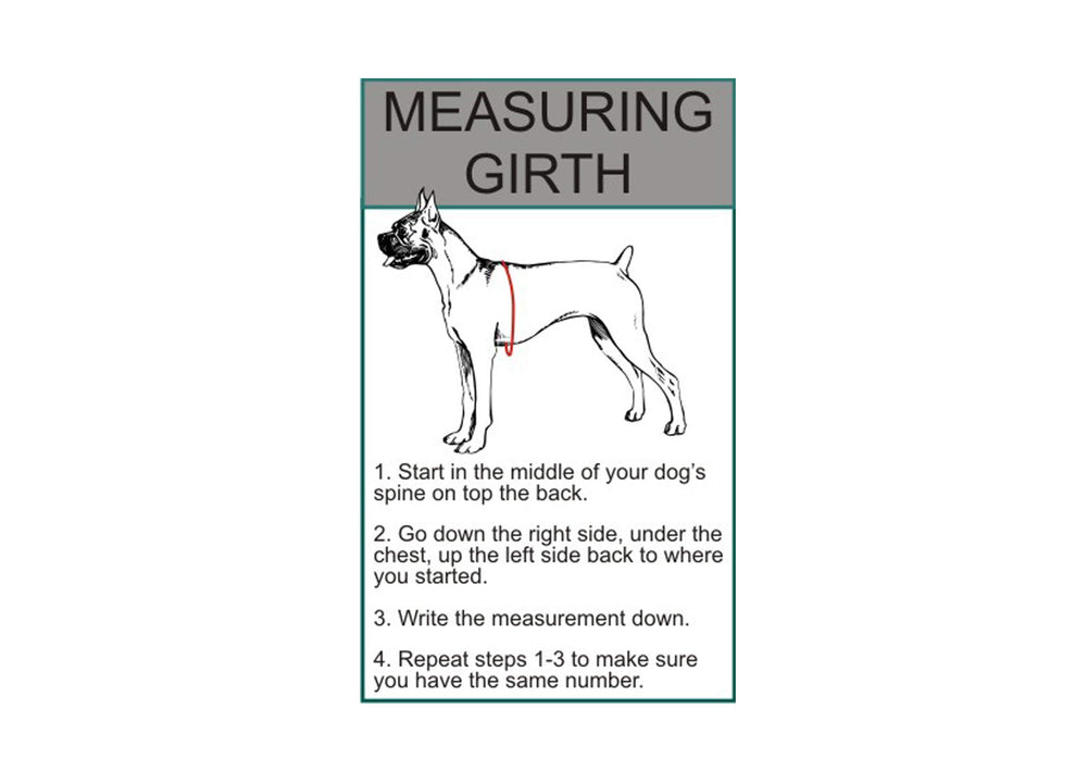 Doggie Stylz harness features reflective patches on each side for night visibility.