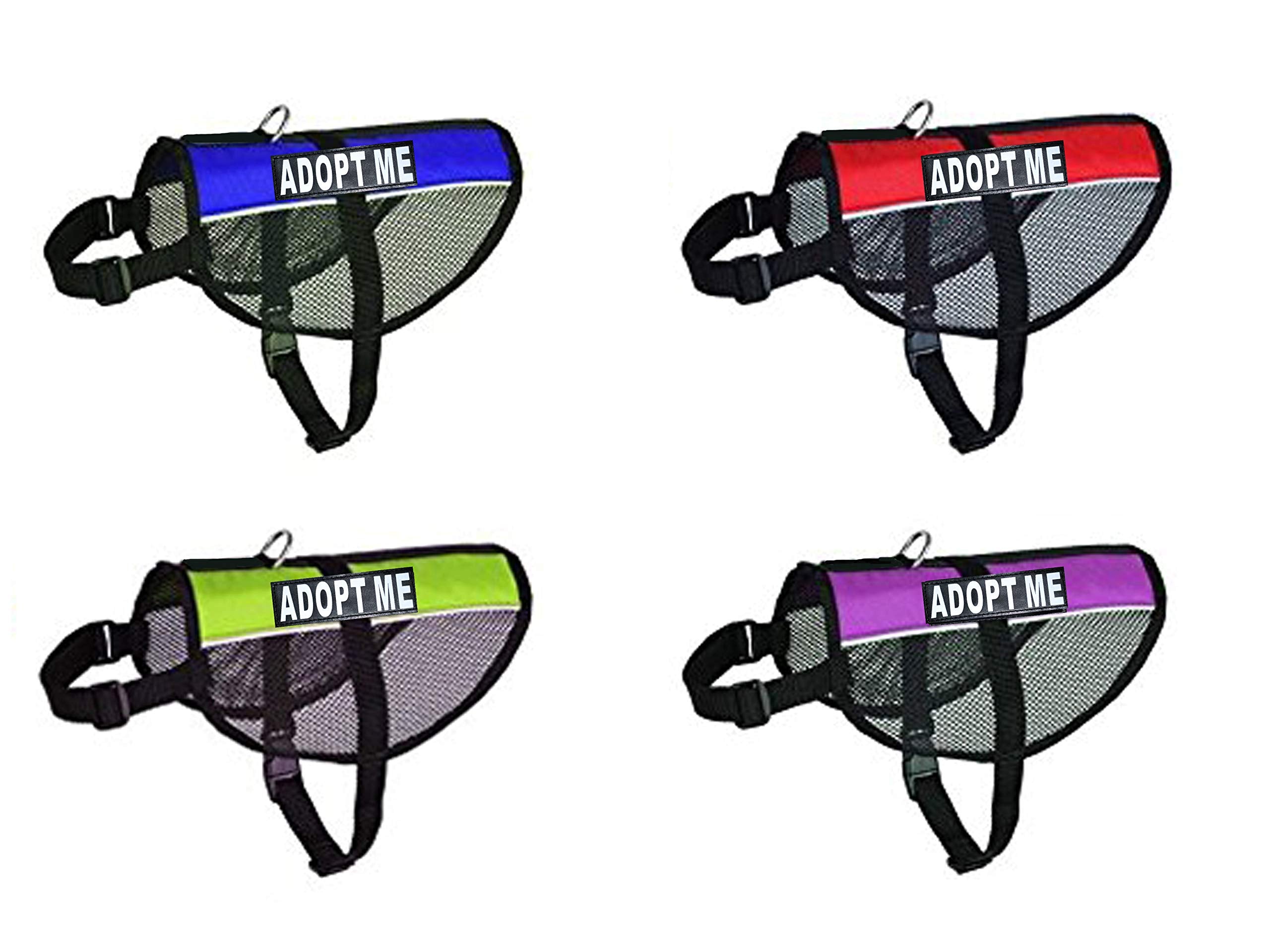 Doggie Stylz Adopt ME harness with side patches enhances outdoor visibility.