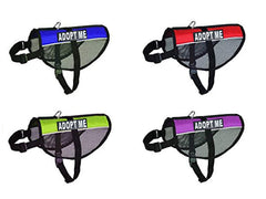 Doggie Stylz Adopt ME harness with side patches enhances outdoor visibility.