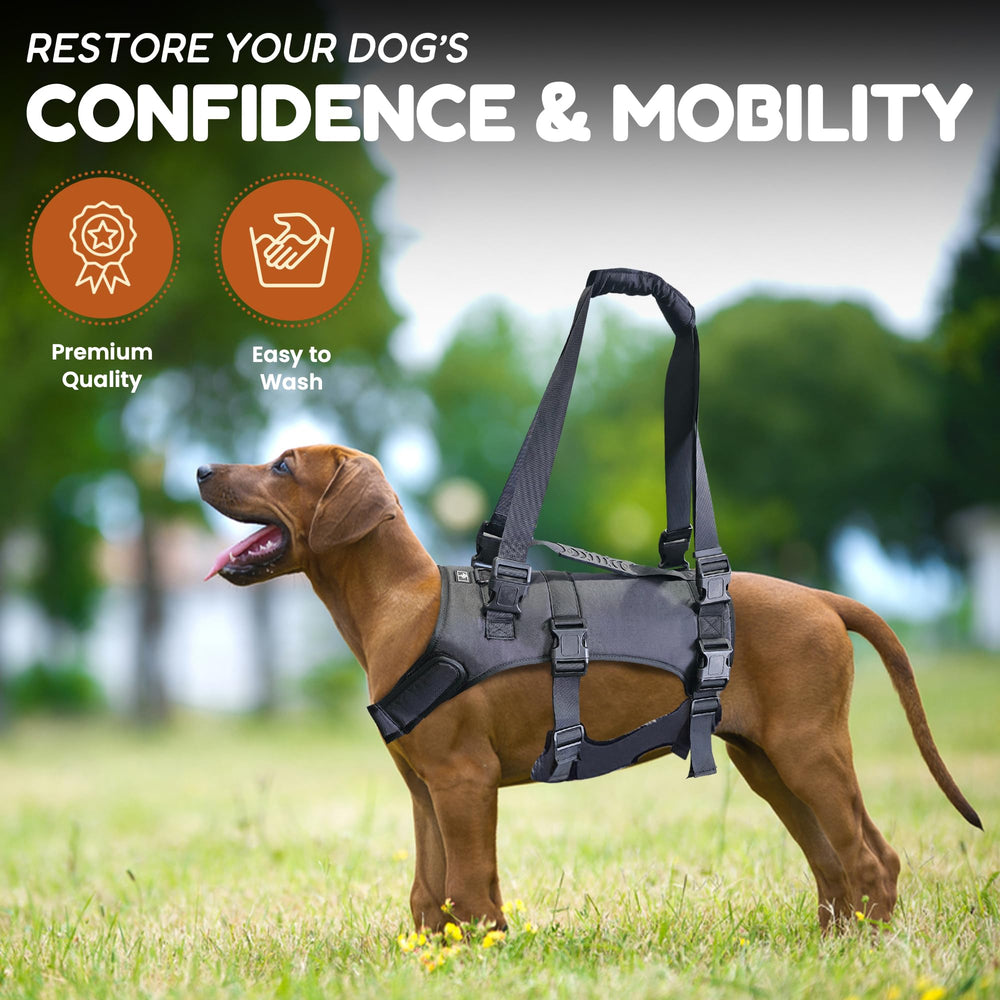 Doggie Stylz Lift Harness - materiales-durables: estructura resistente para perros grandes.
