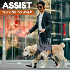 Doggie Stylz Lift Harness - puente-trasero: soporte práctico para subir escaleras.
