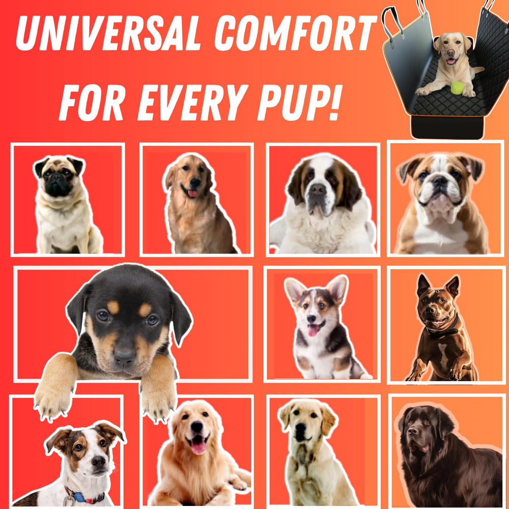 Doggie World easy-clean dirt protection with quick wipeability