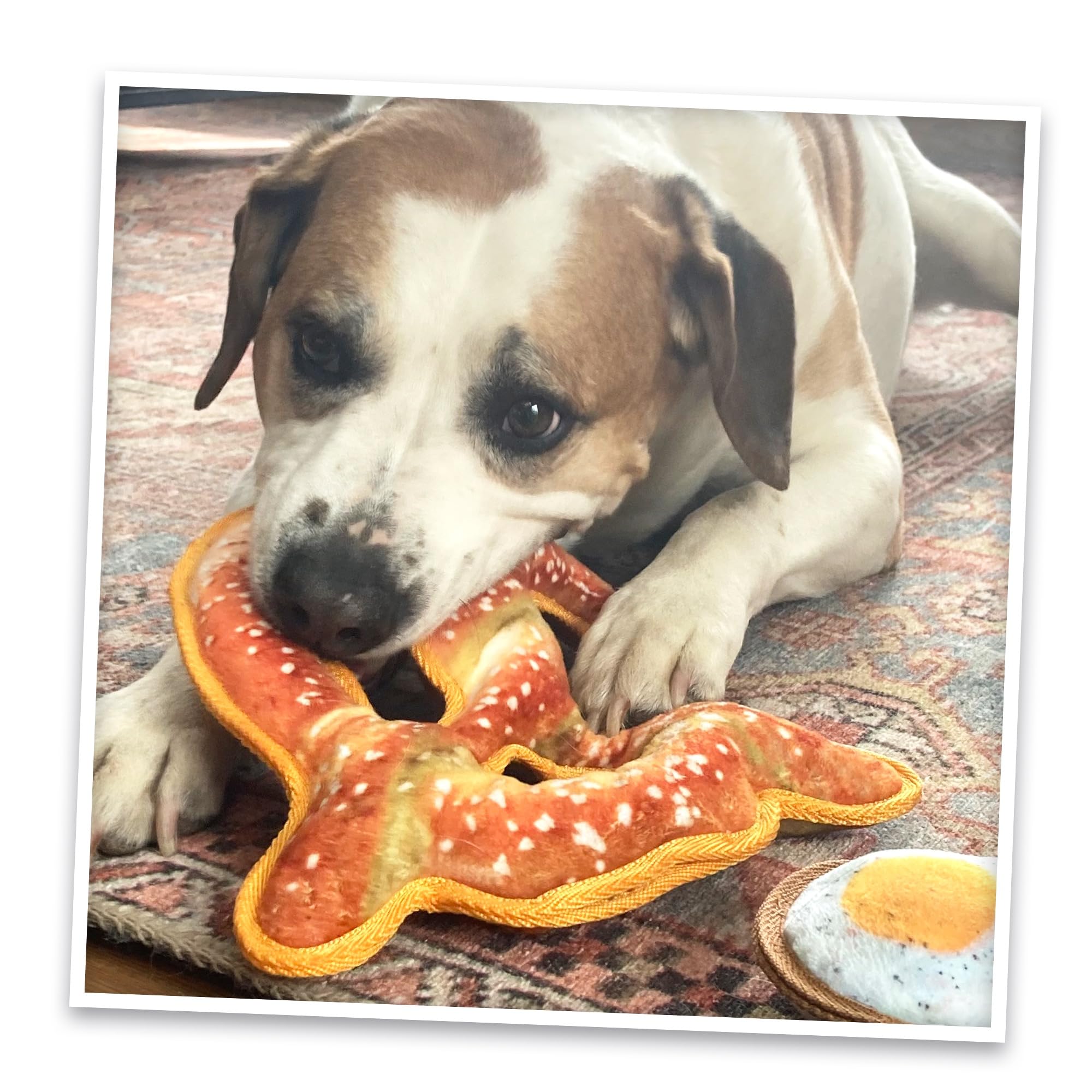 Doggijuana calming catnip use may ease stressful moments.