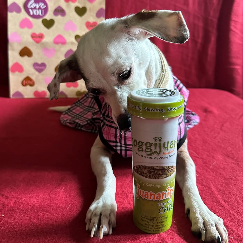 Catnip sprinkled on dog food with Doggijuana for smoother meals.