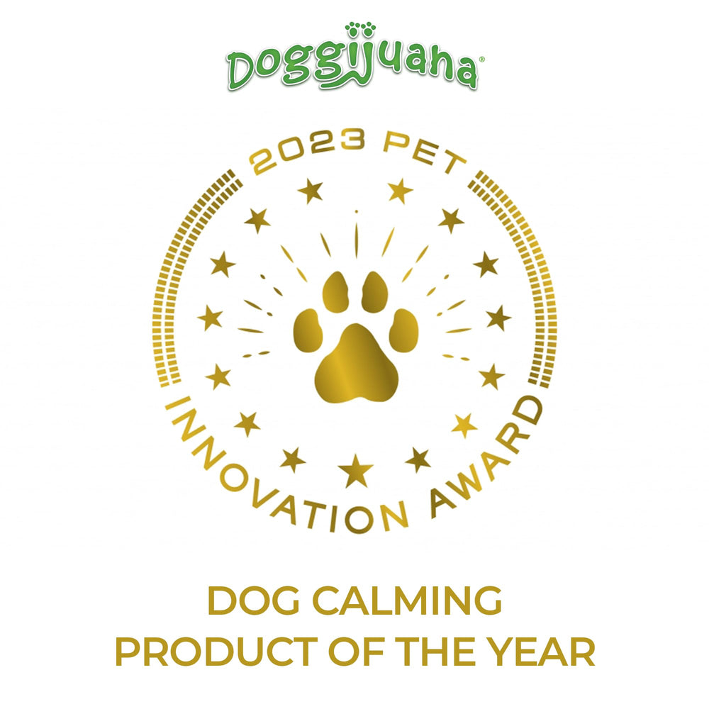 Dog relaxes on a soft bed after using Doggijuana Juananip.