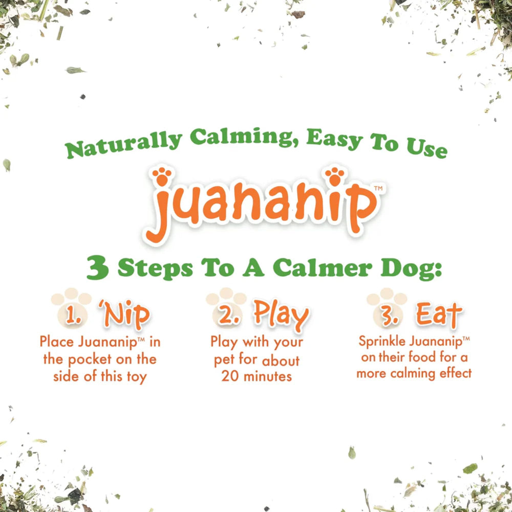 Dog sniffs the Catnip tin from Doggijuana to explore calming aromas.