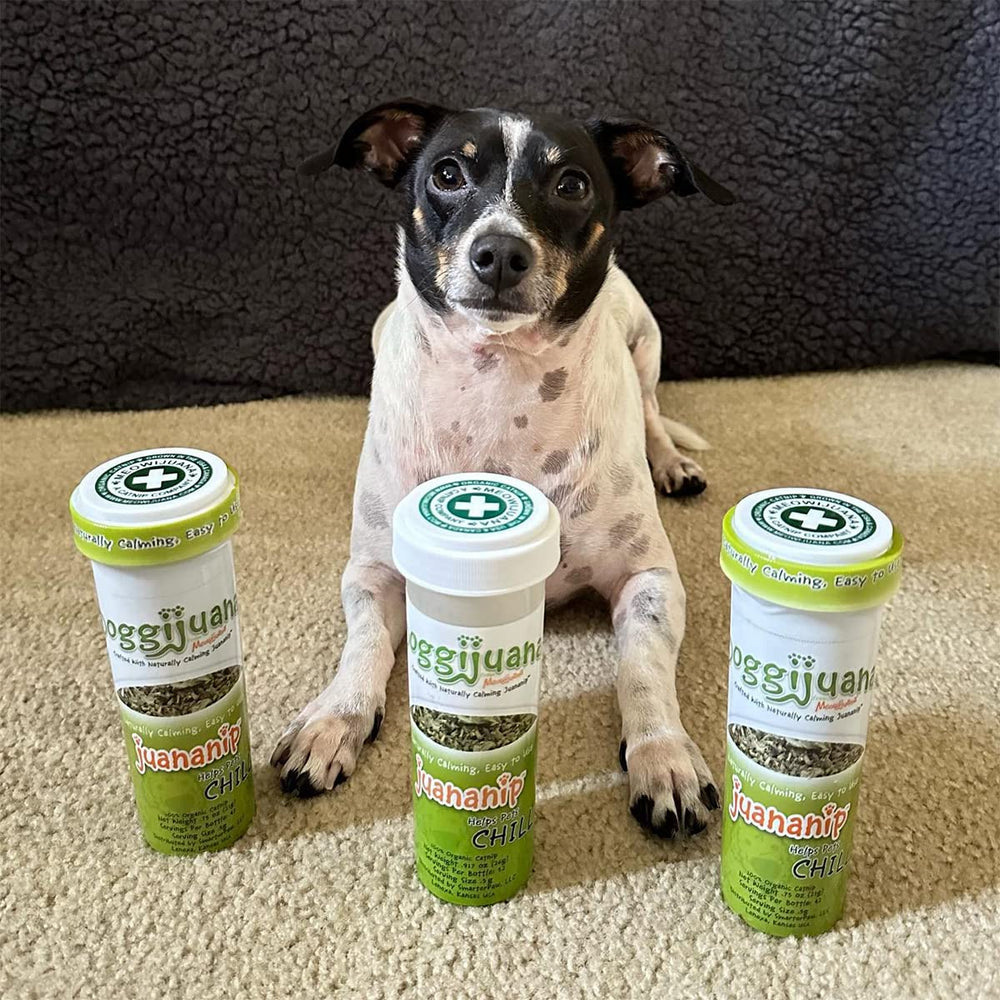 Dog toy infused with Doggijuana catnip for enrichment and play.