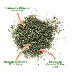 Close-up of hand-harvested catnip from Doggijuana for natural relaxation.