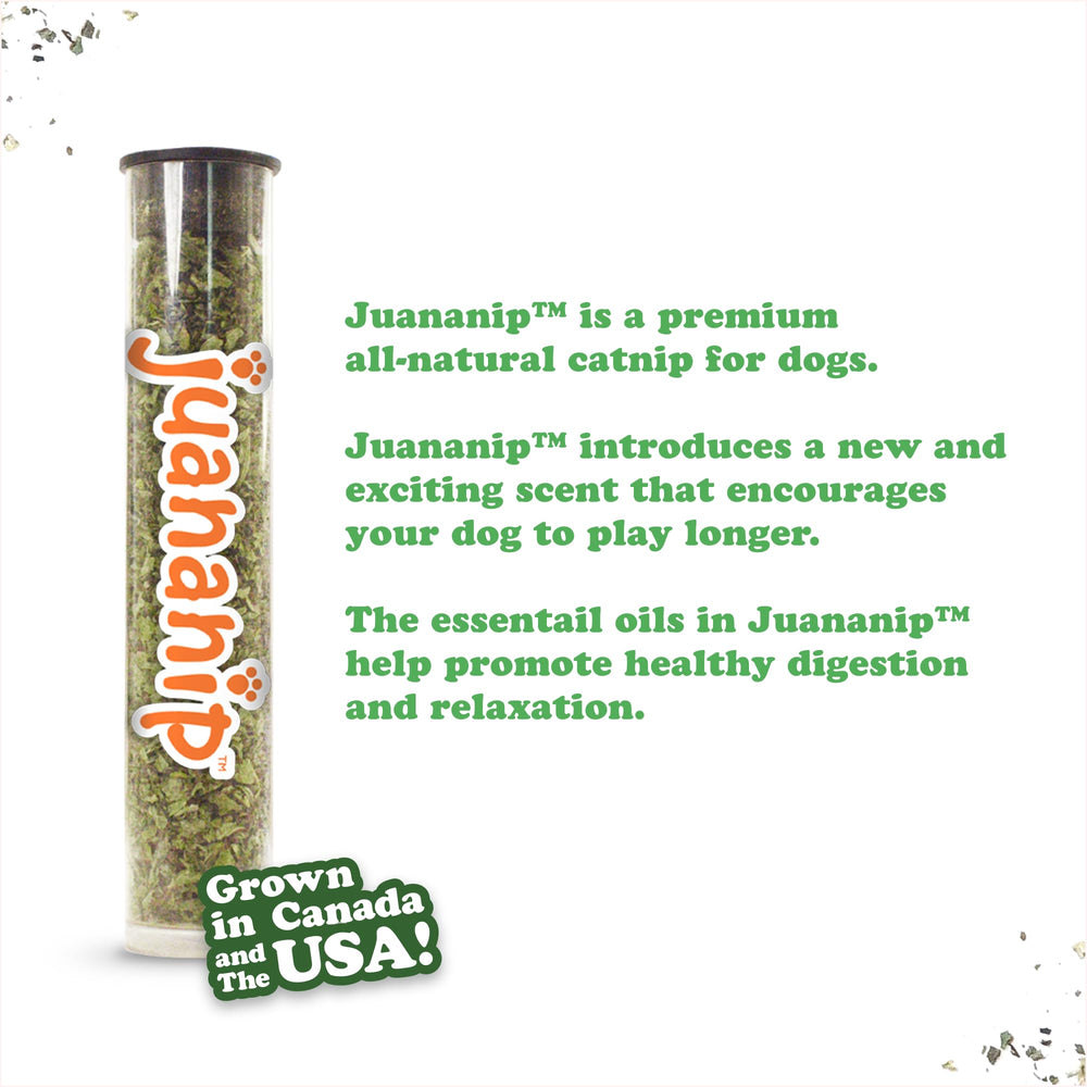Doggijuana hand harvested catnip from North America for enrichment.