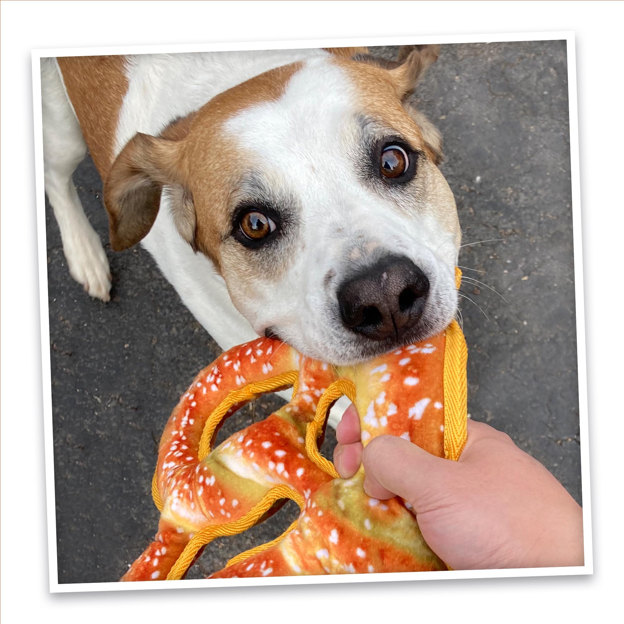 Doggijuana refillable toy offers ongoing fun and scent renewal.